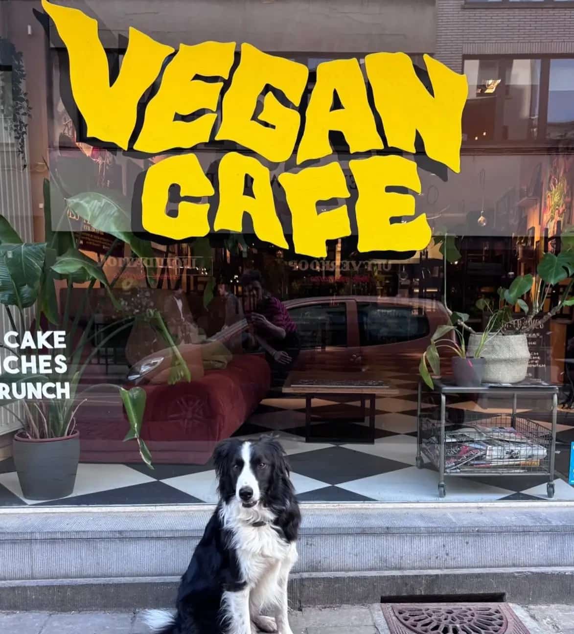 Lucifer Lives — vegan restaurant in Brussels